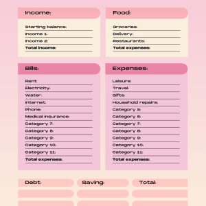 Daily Budget Tracker
